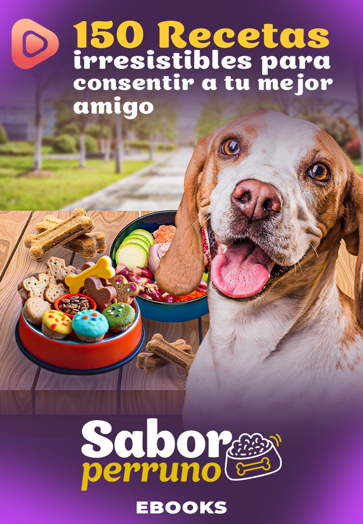 SABOR PERRUNO – 150 recetas para consentir a tu mejor amigo